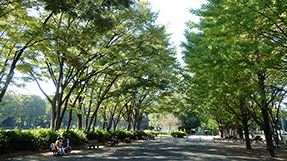 Akatsuka Parkの写真