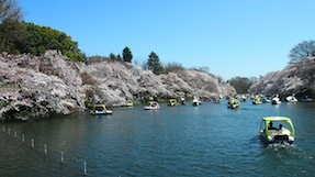 Inokashira Parkの写真