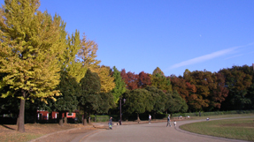 Johoku-Chuo Parkの写真