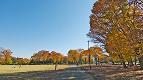 Koganei Parkの写真