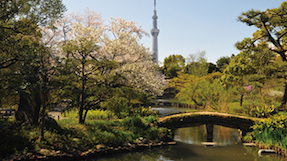 Mukojima-Hyakkaen Gardensの写真