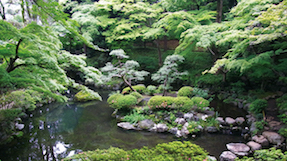 Tonogayato Gardensの写真