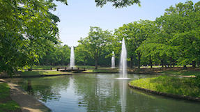 Yoyogi Parkの写真
